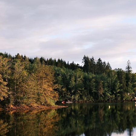 Lodge Avec Spa Privatif - Foret Et Lac Liginiac Extérieur photo