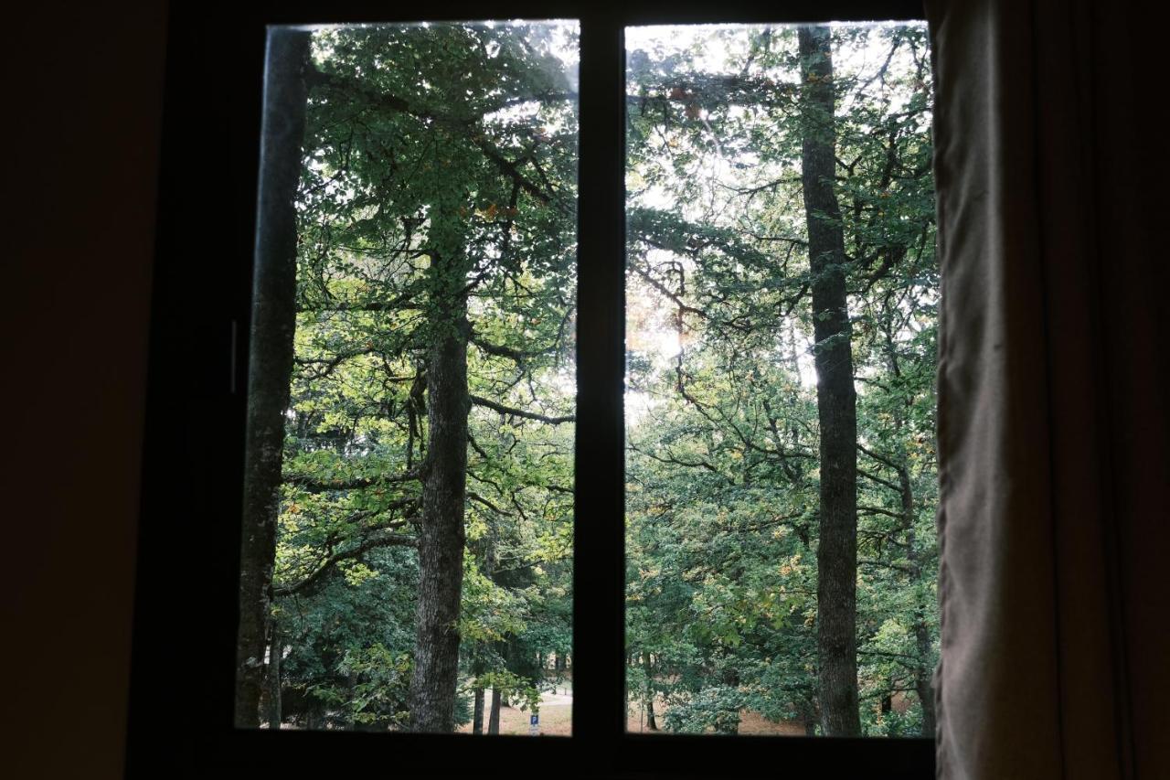 Lodge Avec Spa Privatif - Foret Et Lac Liginiac Extérieur photo