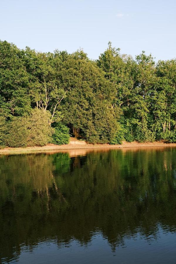 Lodge Avec Spa Privatif - Foret Et Lac Liginiac Extérieur photo