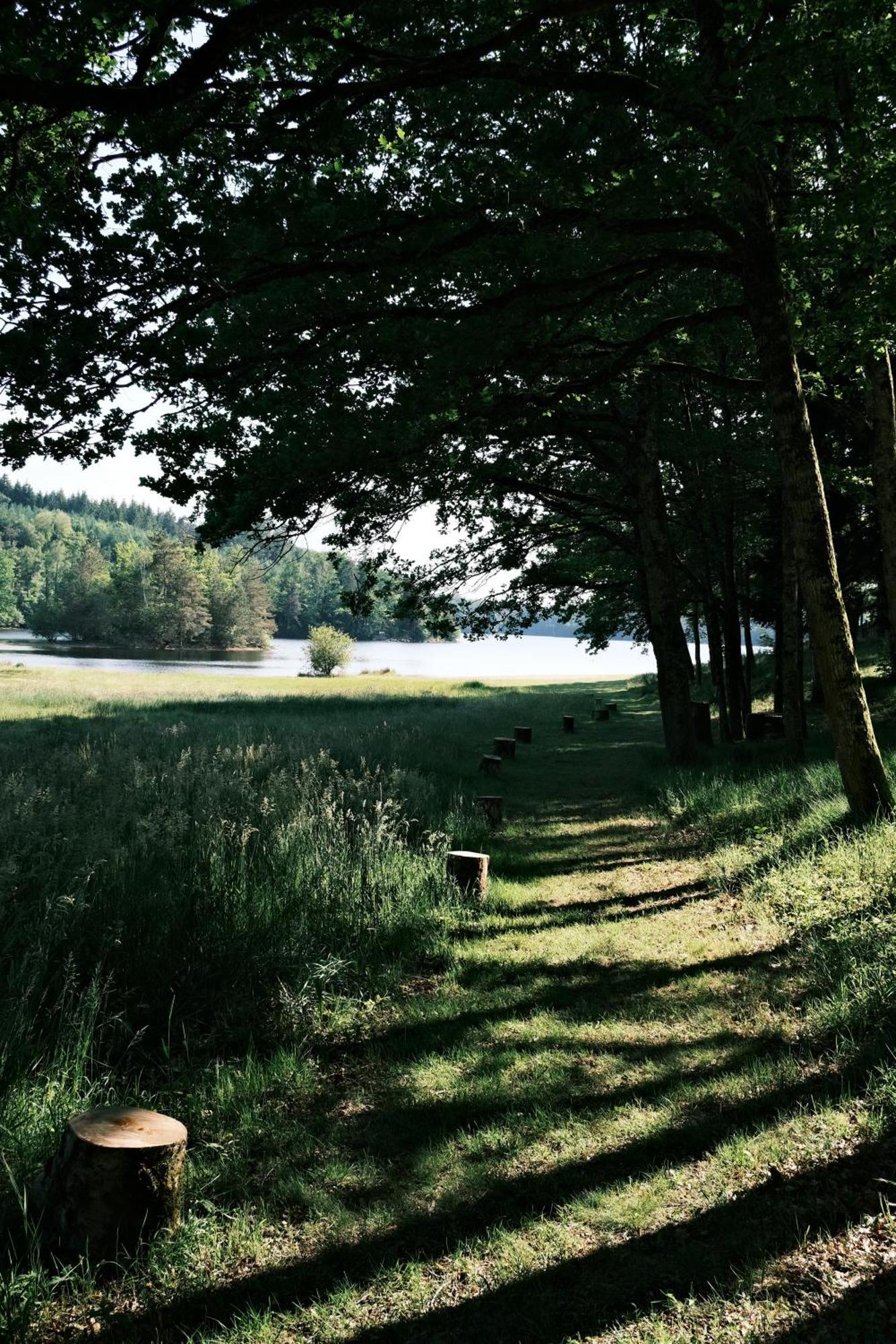 Lodge Avec Spa Privatif - Foret Et Lac Liginiac Extérieur photo